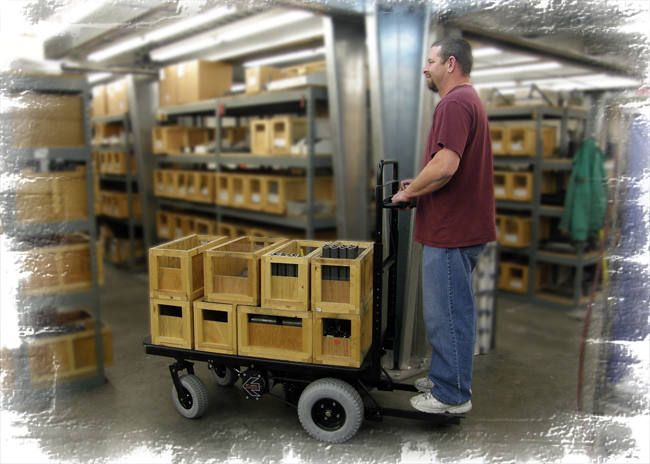 BOUNDER Motorized Cart with driver and load